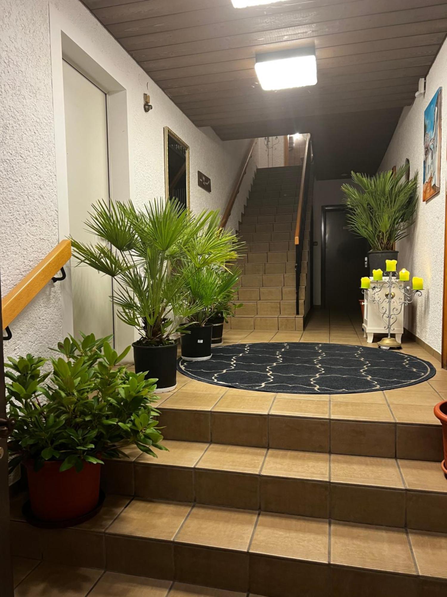 Gasthof Stern Asteri Frickenhausen  Dış mekan fotoğraf